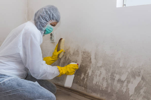 Best Air Quality Testing for Mold Spores  in Trenton, MO