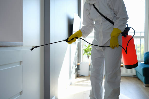 Best Residential Mold Inspection & Testing  in Trenton, MO